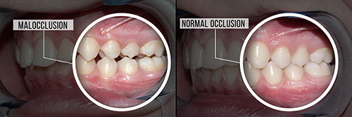 Just Smile  Dental Center