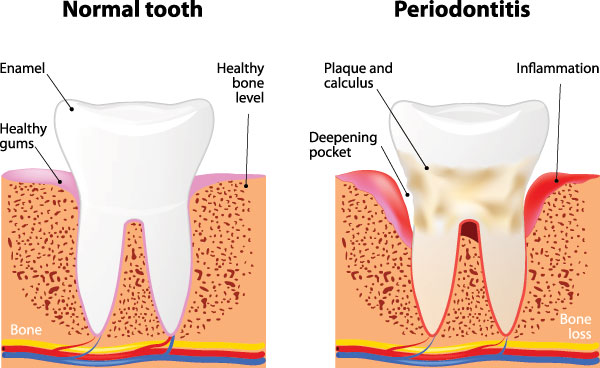 Just Smile  Dental Center